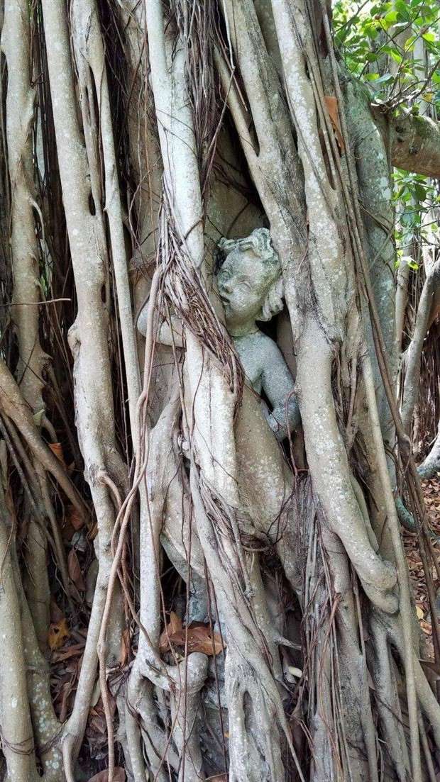 Klyker Picdump #1436 (51 photos)