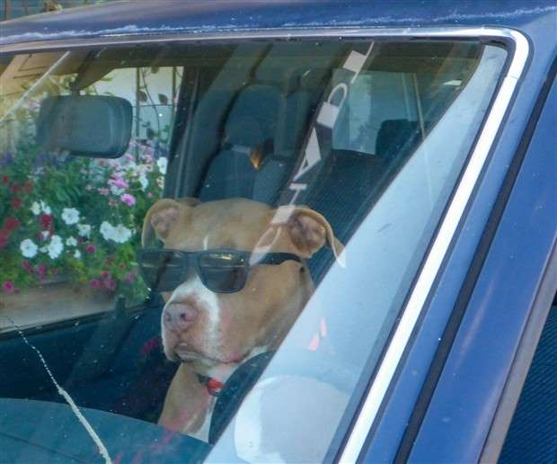 Klyker Picdump #1436 (51 photos)