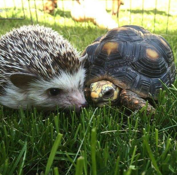 Klyker Picdump #1436 (51 photos)