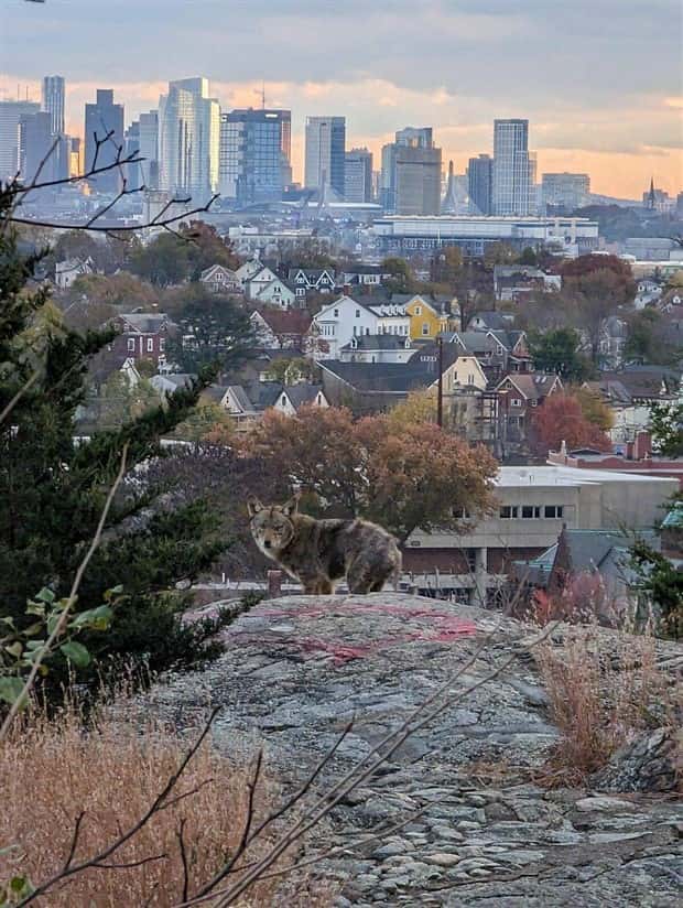 Klyker Picdump #1437 (52 photos)