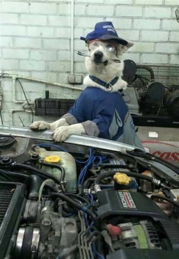 Klyker Picdump #1437 (52 photos)