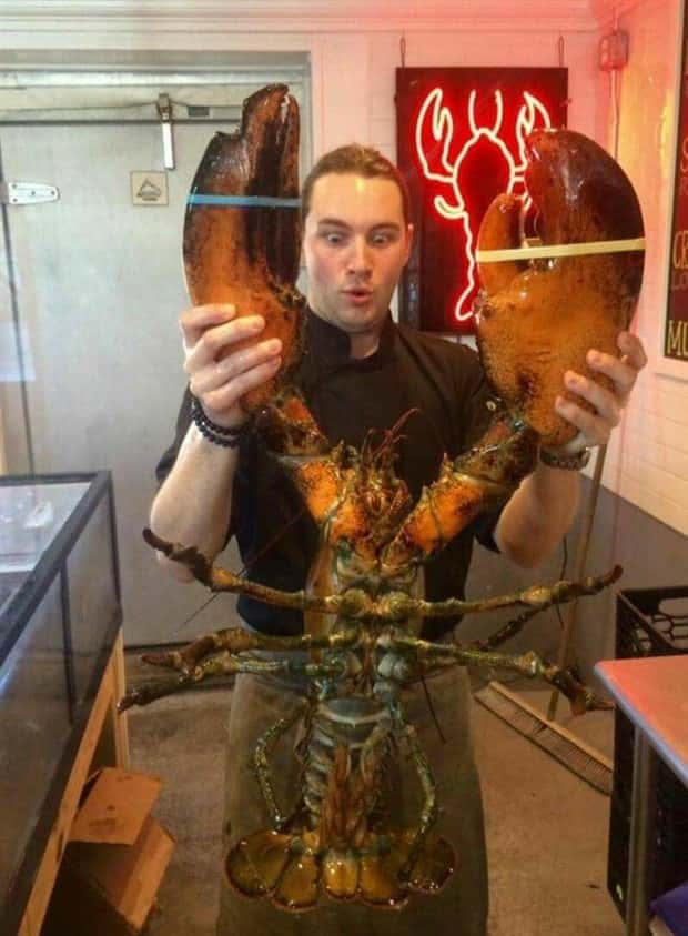 Klyker Picdump #1437 (52 photos)