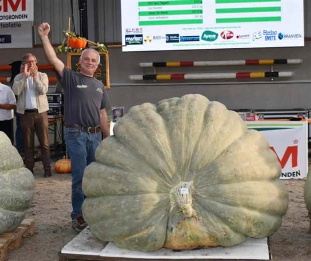 Klyker Picdump #1437 (52 photos)