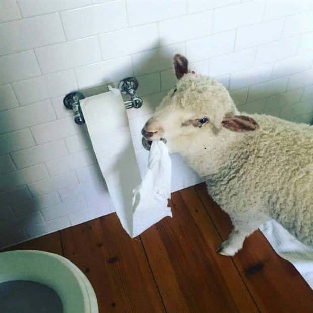 Klyker Picdump #1437 (52 photos)