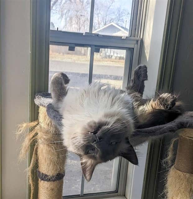 Klyker Picdump #1437 (52 photos)