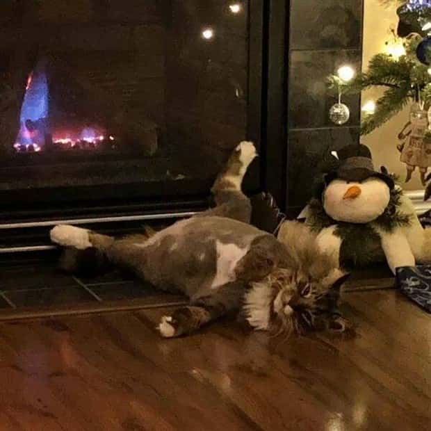 Klyker Picdump #1437 (52 photos)