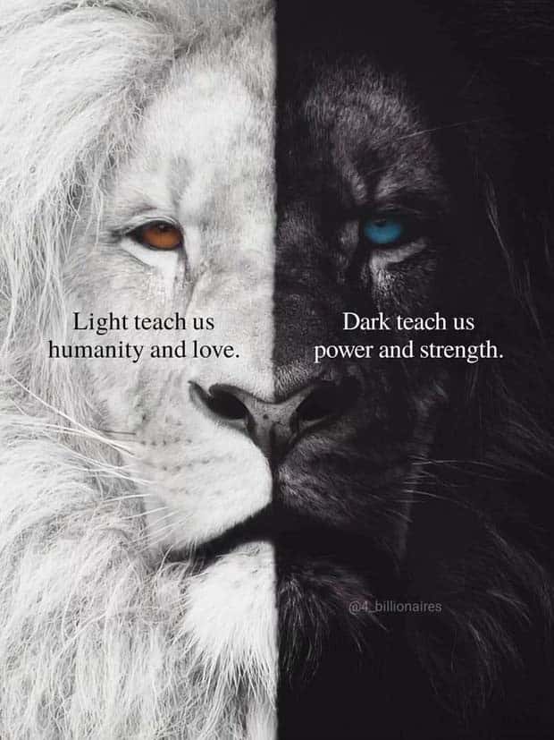 Motivational Quotes, Because It’s Monday #99 (20 photos)