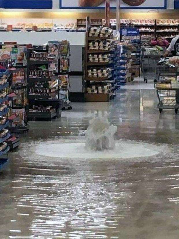 Shit Happens Regularly, Get Used To It #271 (27 photos)