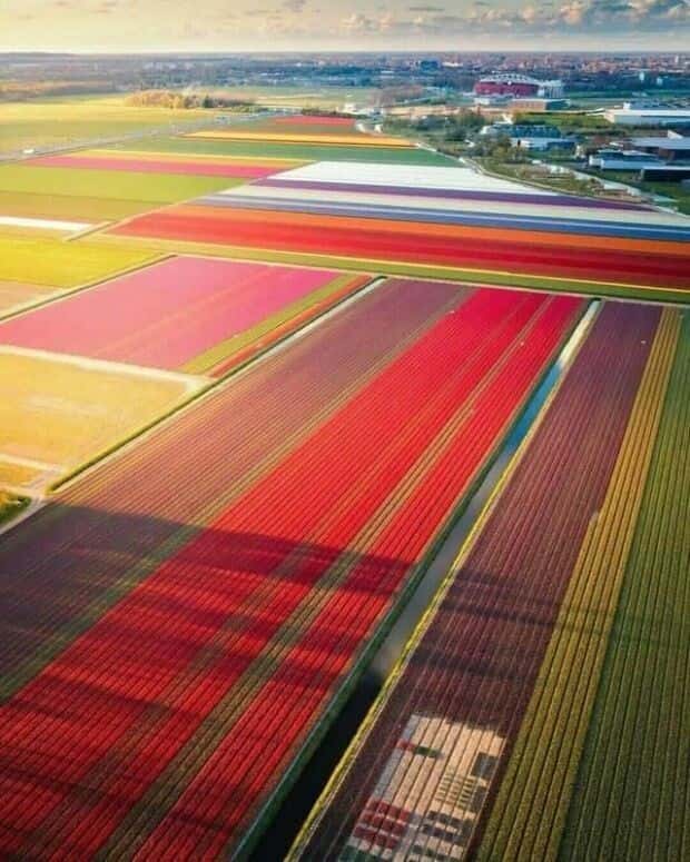 Soothing Pictures for Perfectionists #19 (25 photos)