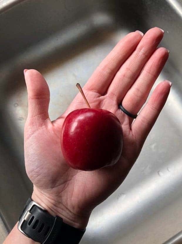 Soothing Pictures for Perfectionists #19 (25 photos)