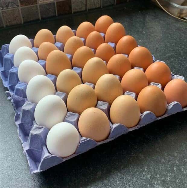 Soothing Pictures for Perfectionists #19 (25 photos)