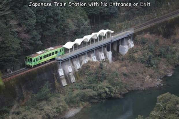 pictures with captions 13 1 Interesting Pictures with Captions #98 (23 photos)