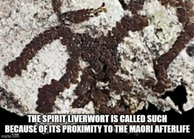 It’s Time for Some Cool and Interesting Facts #373 (30 photos)