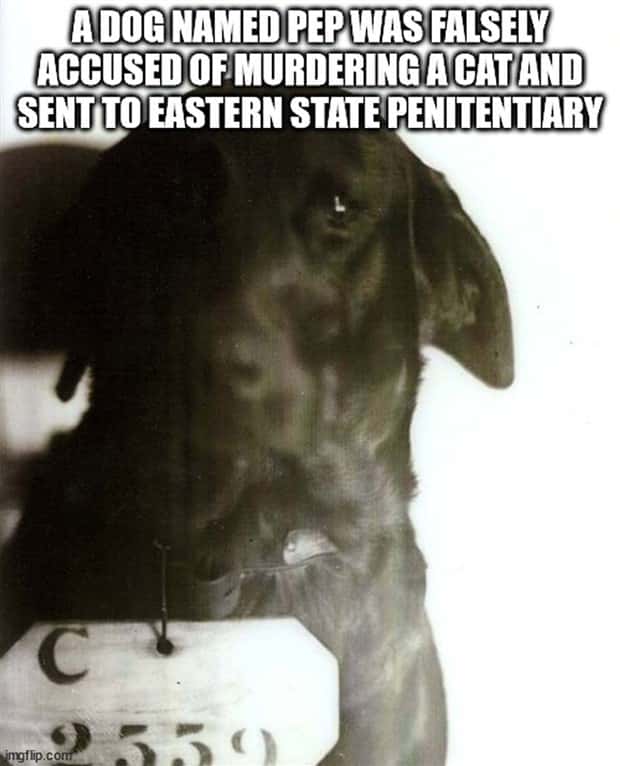 It’s Time for Some Cool and Interesting Facts #373 (30 photos)