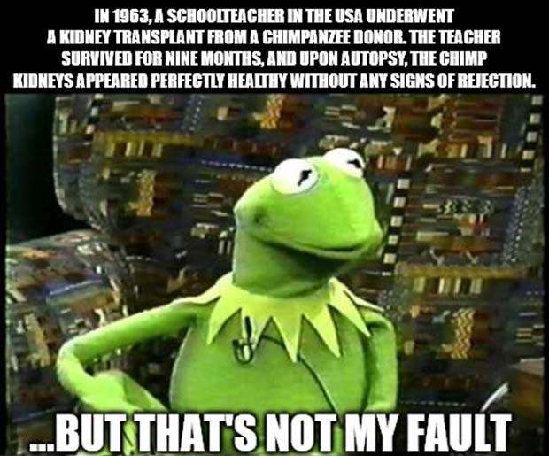 It’s Time for Some Cool and Interesting Facts #371 (27 photos)