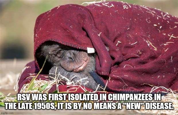 It’s Time for Some Cool and Interesting Facts #371 (27 photos)