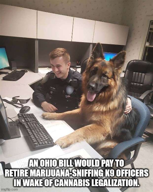 It’s Time for Some Cool and Interesting Facts #371 (27 photos)