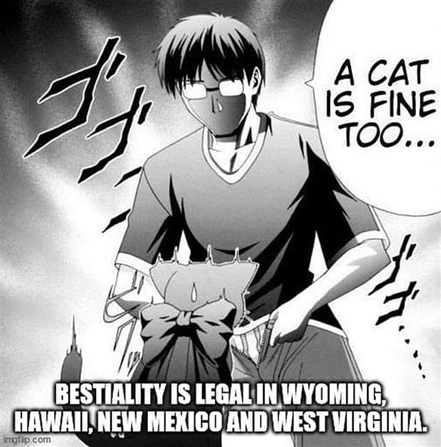 It’s Time for Some Cool and Interesting Facts #373 (30 photos)