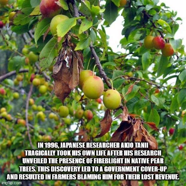 It’s Time for Some Cool and Interesting Facts #371 (27 photos)