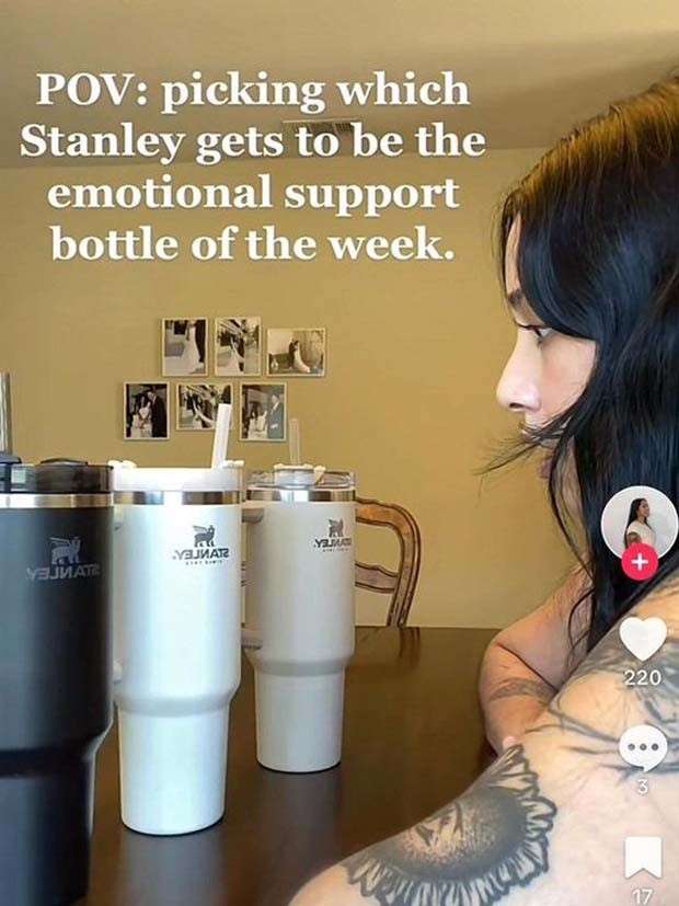 25 Ridiculous Screenshots by TikTok Youngsters (25 photos)