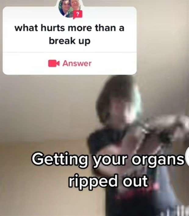 25 Ridiculous Screenshots by TikTok Youngsters (25 photos)