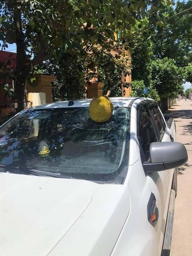 Shit Happens Regularly, Get Used To It #272 (28 photos)