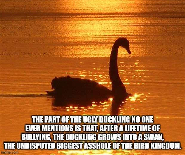 Funny Shower Thoughts #96 (24 photos)