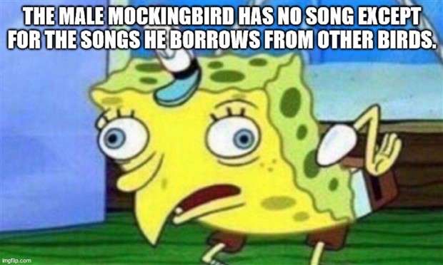 Funny Shower Thoughts #96 (24 photos)