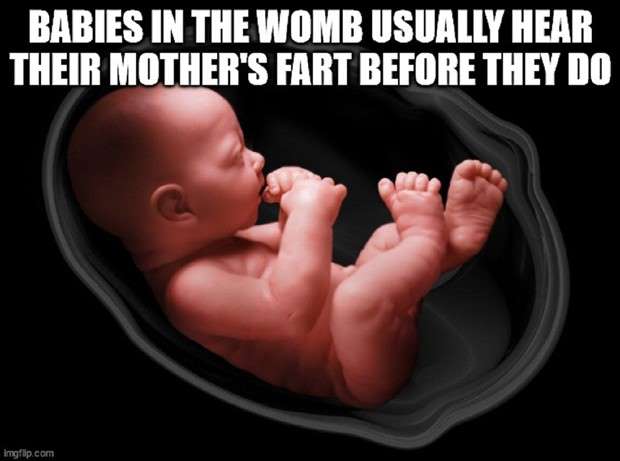 Funny Shower Thoughts #96 (24 photos)