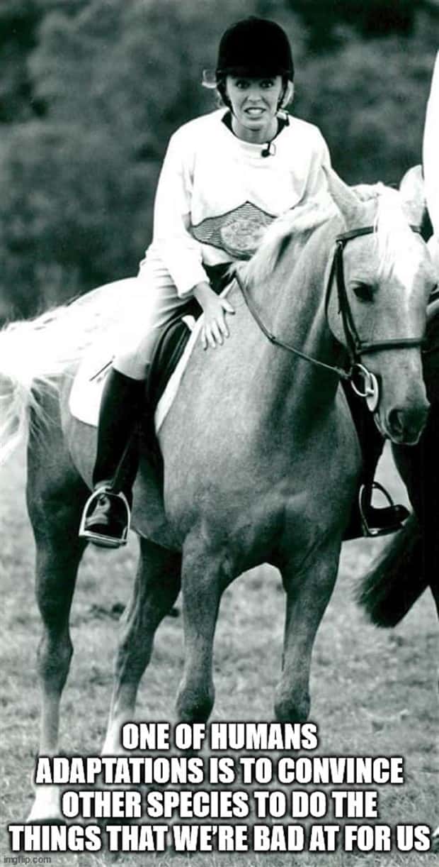 Funny Shower Thoughts #97 (29 photos)