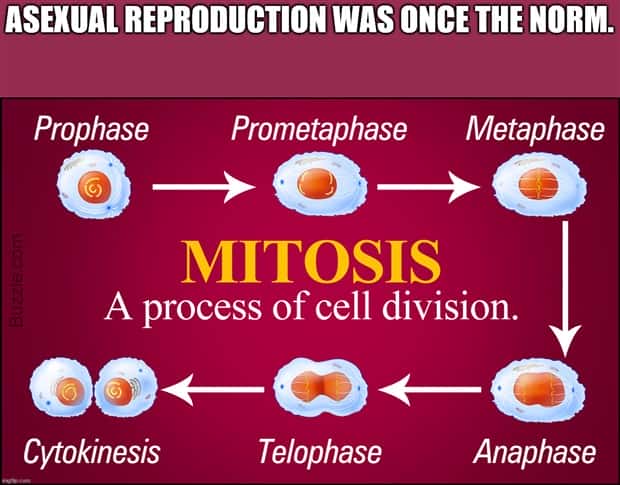 Funny Shower Thoughts #97 (29 photos)