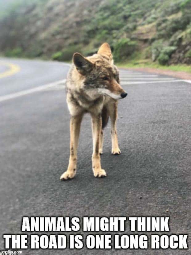 Funny Shower Thoughts #97 (29 photos)