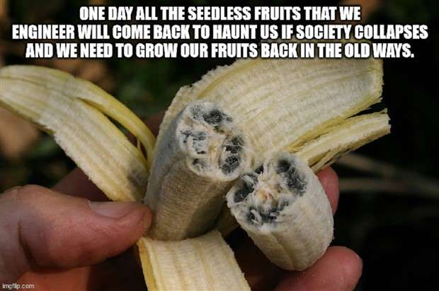 Funny Shower Thoughts #96 (24 photos)