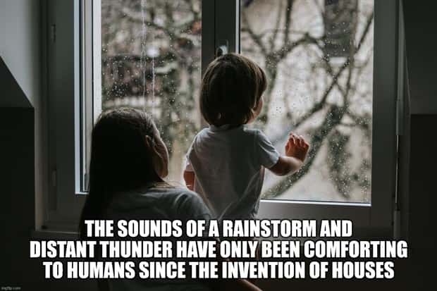 Funny Shower Thoughts #97 (29 photos)