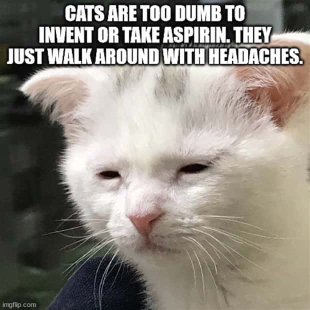 Funny Shower Thoughts #98 (30 photos)