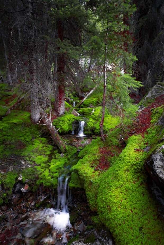 Amazing Landscapes that Leave Us Speechless #24 (24 photos)