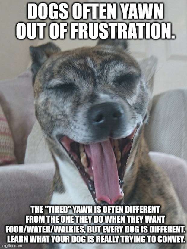 33 Life Hacks That Should Be Useful (33 photos)