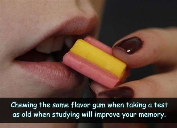 33 Life Hacks That Should Be Useful (33 photos)