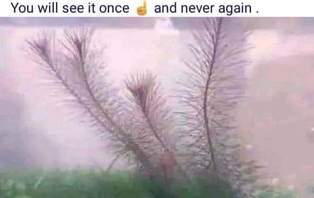 Put Your Dirty Mind to the Test #84 (28 photos)