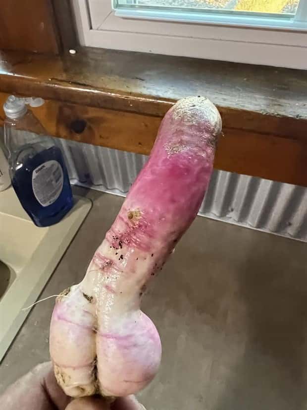 Put Your Dirty Mind to the Test #84 (28 photos)