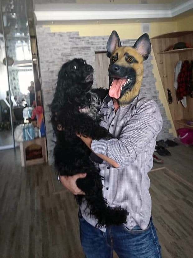 Get Ready for Funny Animals #334 (29 photos)