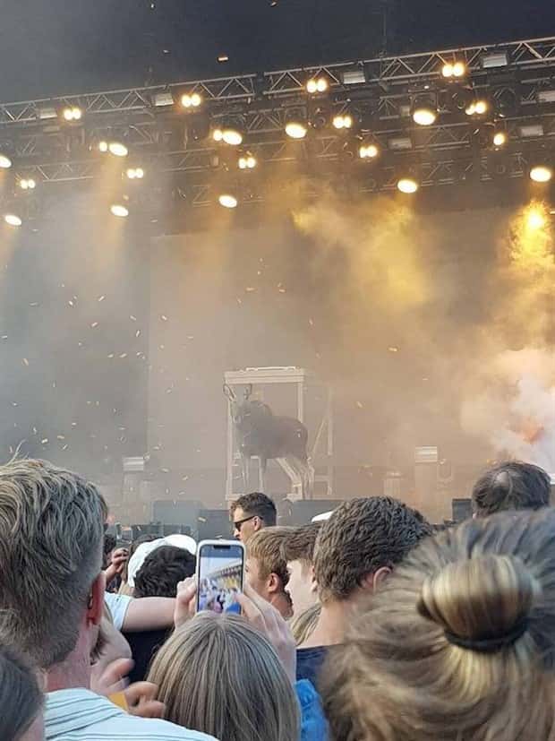 Get Ready for Funny Animals #334 (29 photos)