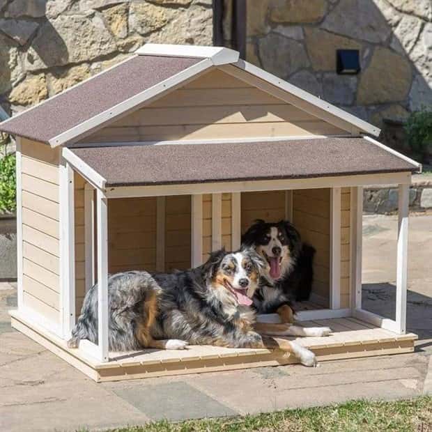Happy Dogs in Lavish Dog Houses (22 photos)
