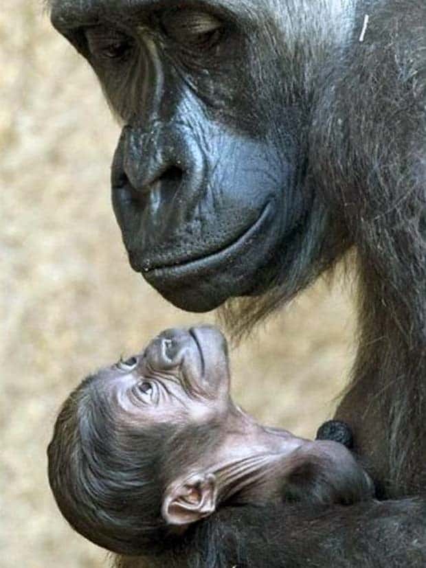 Awesome Pictures You Shouldn’t Miss #102 (27 photos)