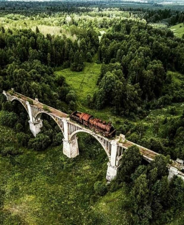 Awesome Pictures You Shouldn’t Miss #103 (25 photos)