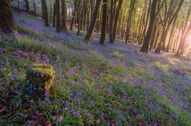 Amazing Landscapes that Leave Us Speechless #25 (25 photos)