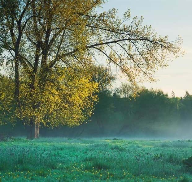 Amazing Landscapes that Leave Us Speechless #25 (25 photos)