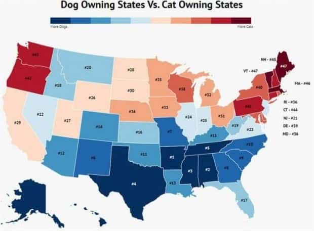 Random Charts and Maps Filled with Interesting Data #106 (24 photos)