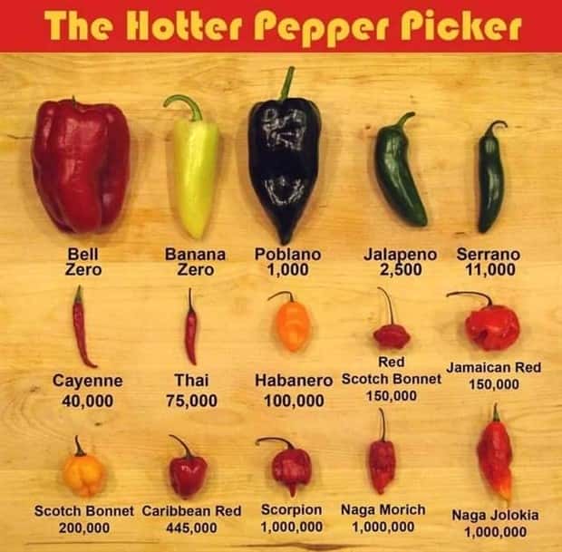 Random Charts and Maps Filled with Interesting Data #102 (21 photos)