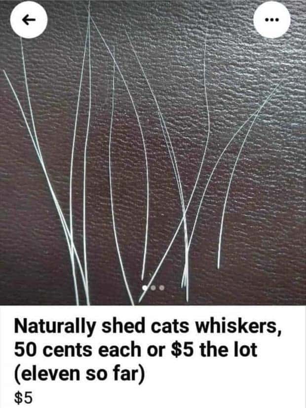 Cringey Items Available on Facebook Marketplace (27 photos)